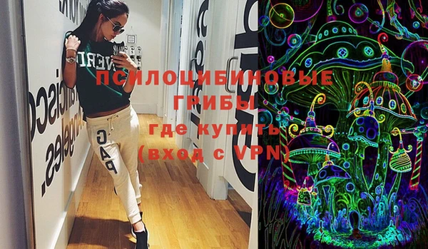 ECSTASY Покачи