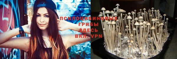 ECSTASY Покачи