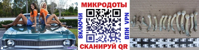 ОМГ ОМГ сайт  где купить наркоту  Полярные Зори  Псилоцибиновые грибы Magic Shrooms 