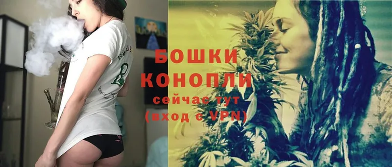 Марихуана OG Kush  наркошоп  Полярные Зори 